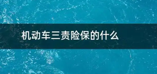 85482749.png 微信截图_20230819230116.png