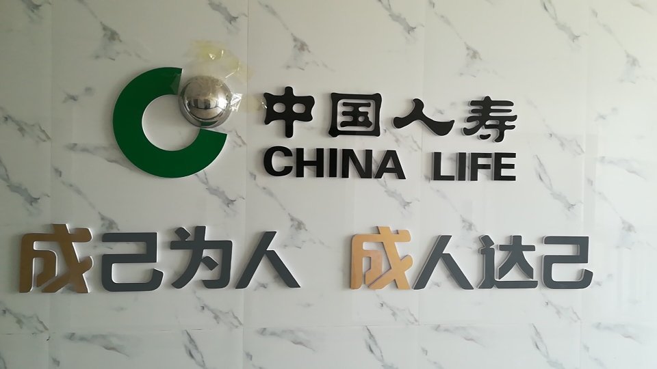 中国人寿 中国人寿