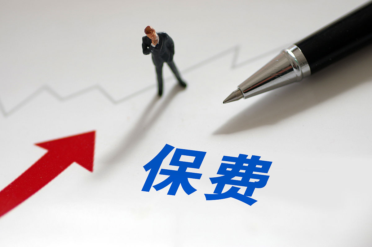 保费标准是多少？