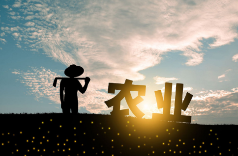 农业也有保险？