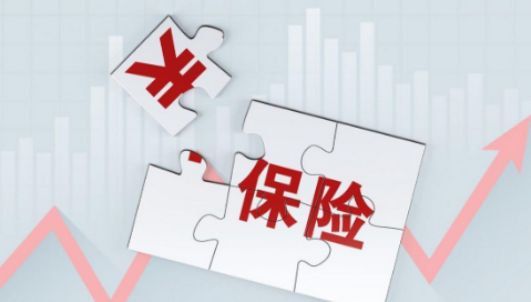 高职业类别工人更适合哪种险种？