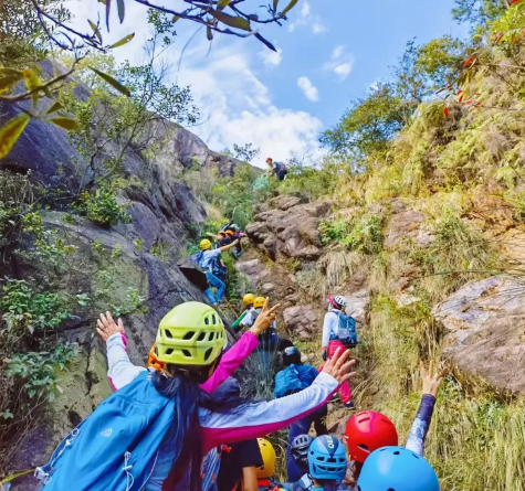 38451279.png 38451279.png