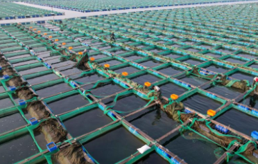 找不同—沿海养殖与近海养殖