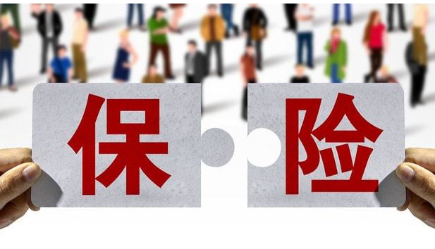 保险公司分类全解析：从业务、所有制到经营模式的多维洞察